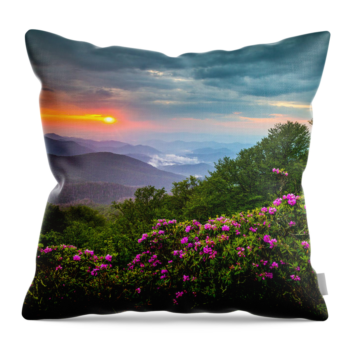 North Carolina Throw Pillow featuring the photograph Asheville North Carolina Blue Ridge Parkway Scenic Landscape #1 by Dave Allen