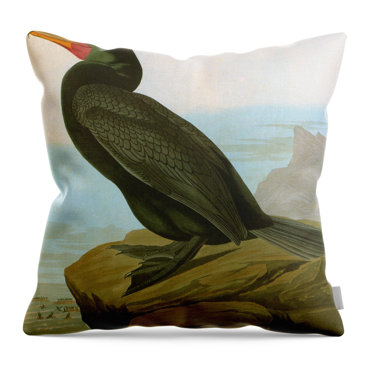 1838 Throw Pillow featuring the photograph Audubon: Cormorant #1 by Granger