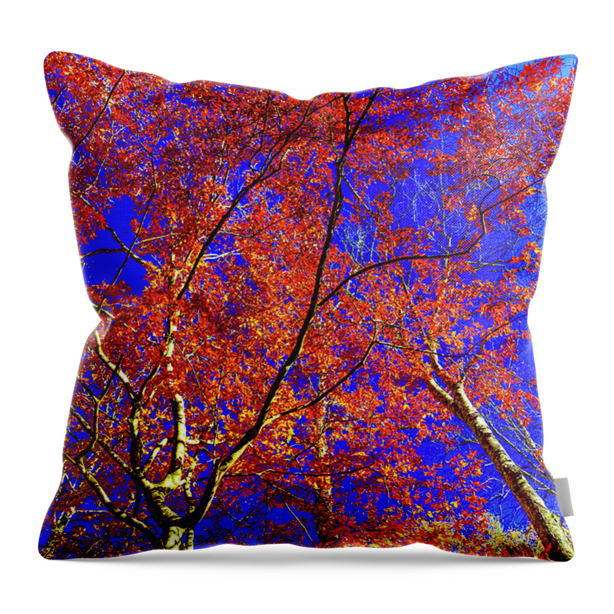 Autumn Fire Throw Pillow featuring the photograph Autumn Blaze #2 by Karen Wiles