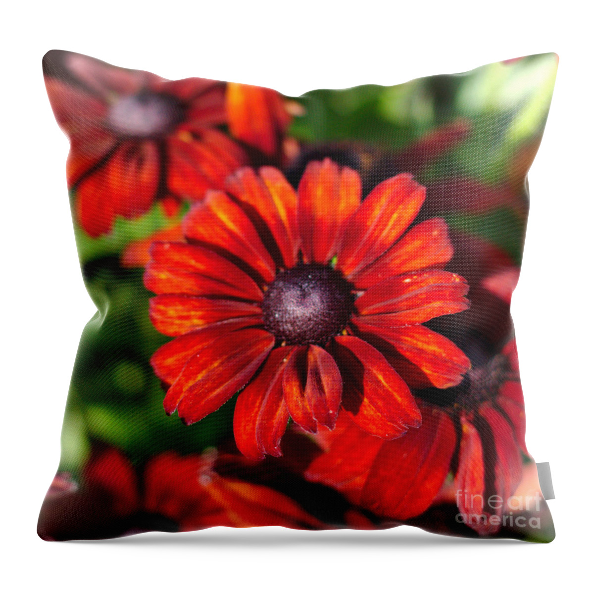Flowers Throw Pillow featuring the photograph Autumn Flowers #1 by Jeremy Hayden