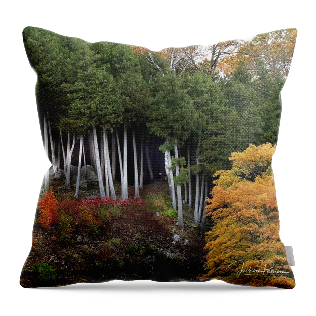 Mackinac Island Throw Pillow featuring the photograph Autumn on Mackinac Island #1 by Jackson Pearson