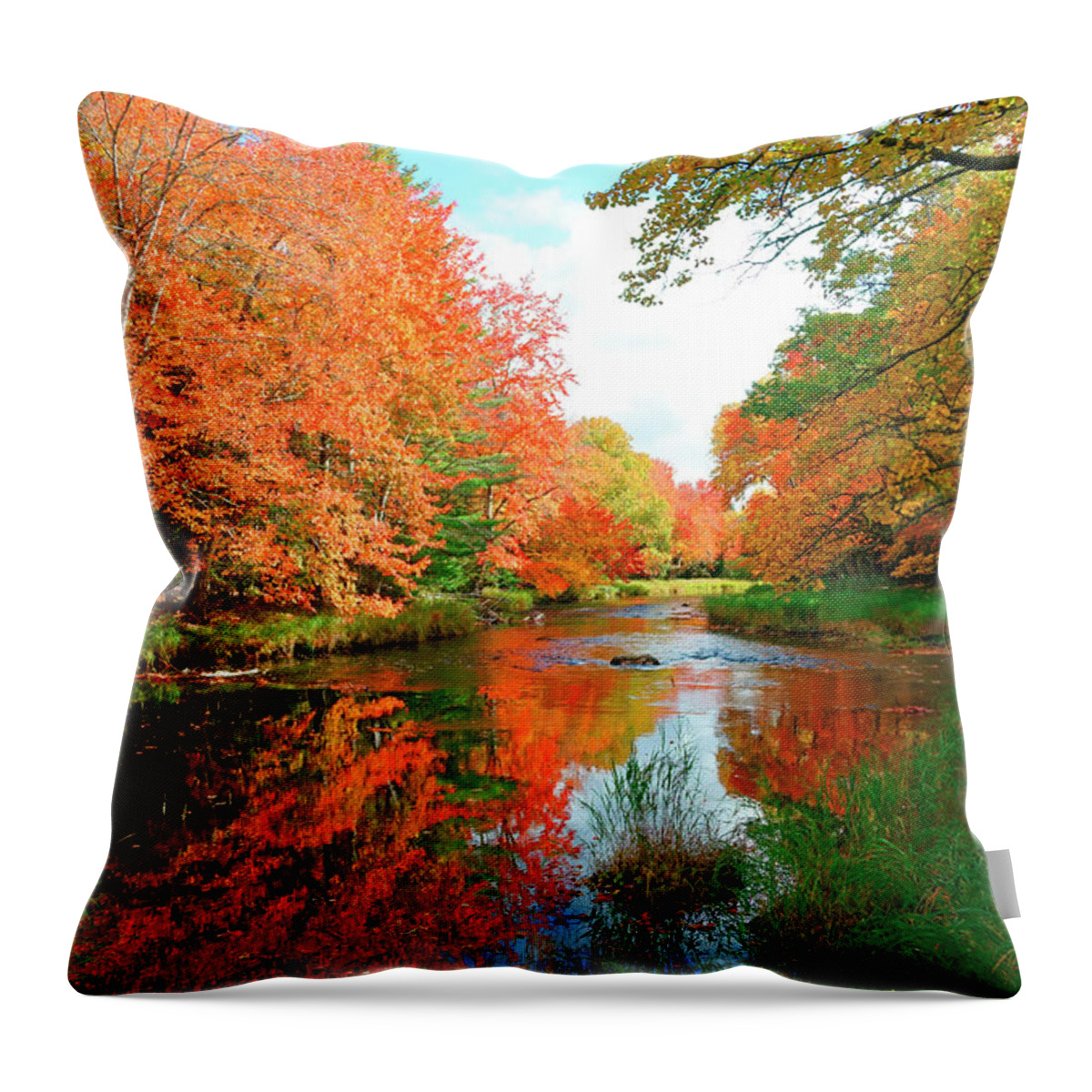 Autumn Throw Pillow featuring the photograph Autumn on the Mersey River, Kejimkujik National Park, Nova Scotia, Canada #1 by Gary Corbett