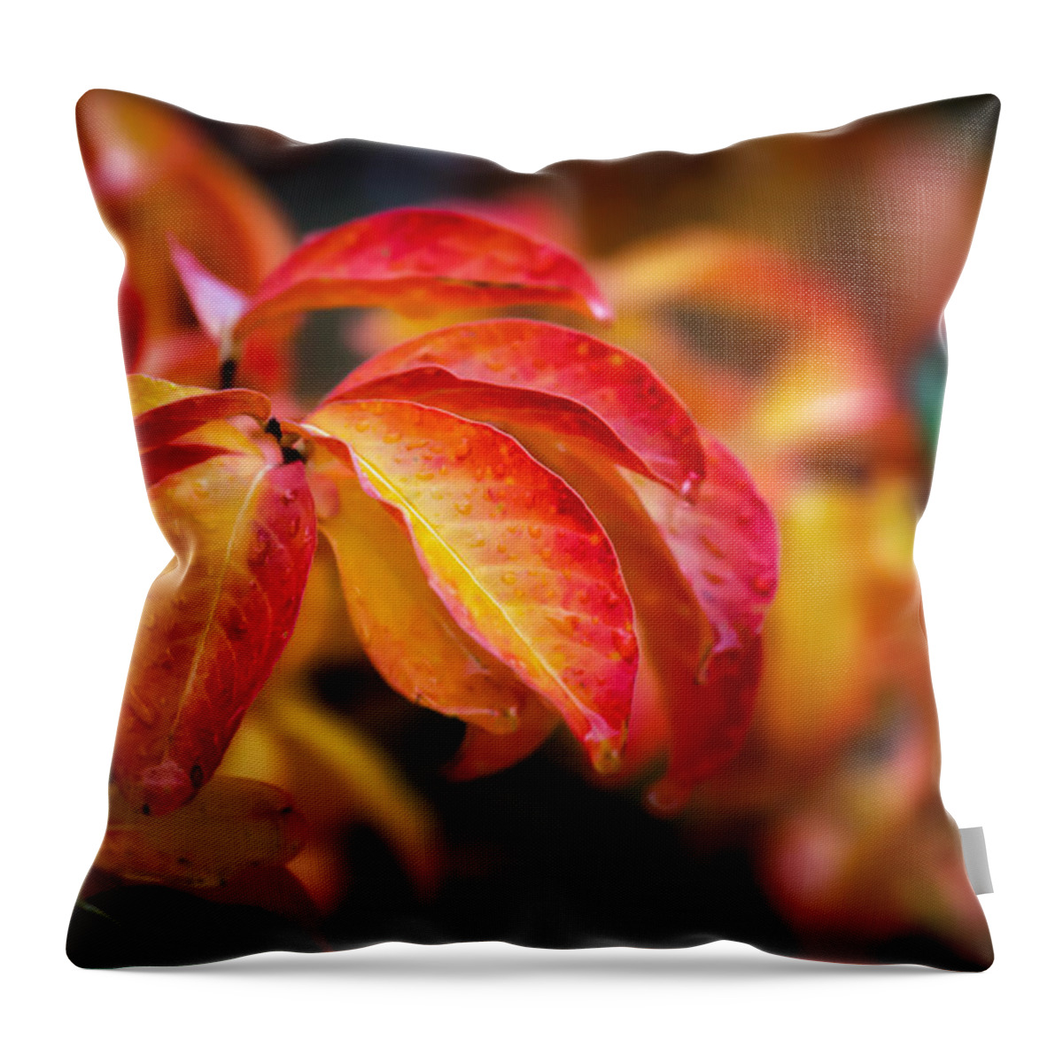 Autumn Throw Pillow featuring the photograph Autumn Rain #1 by James Barber