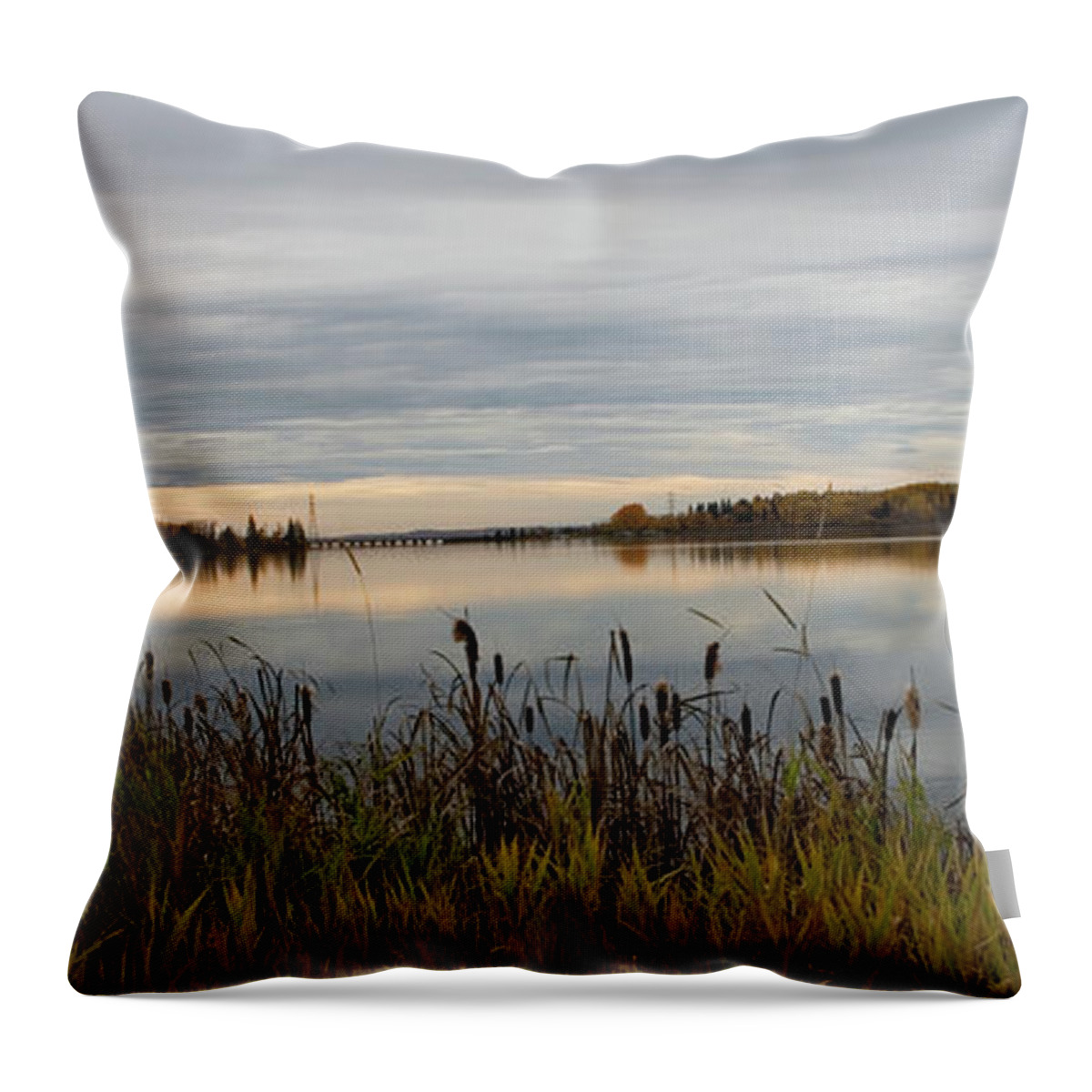 Greeting Card Throw Pillow featuring the photograph Autumn #2 by Rhonda McDougall