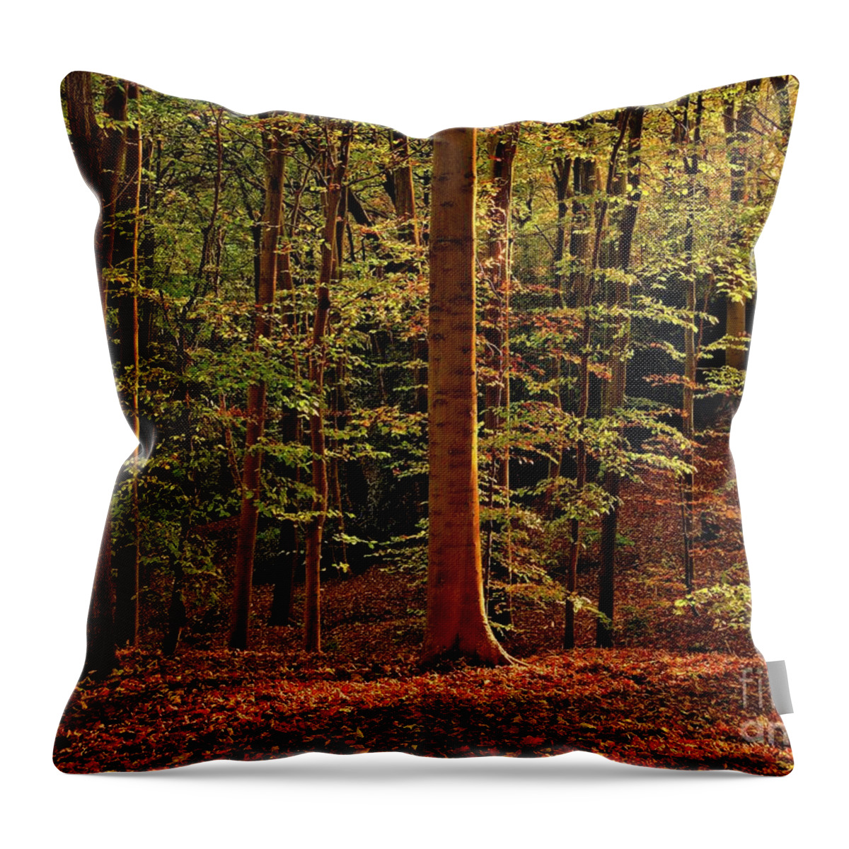 Fall Forest Throw Pillow featuring the photograph Autumn Woodland #1 by Martyn Arnold