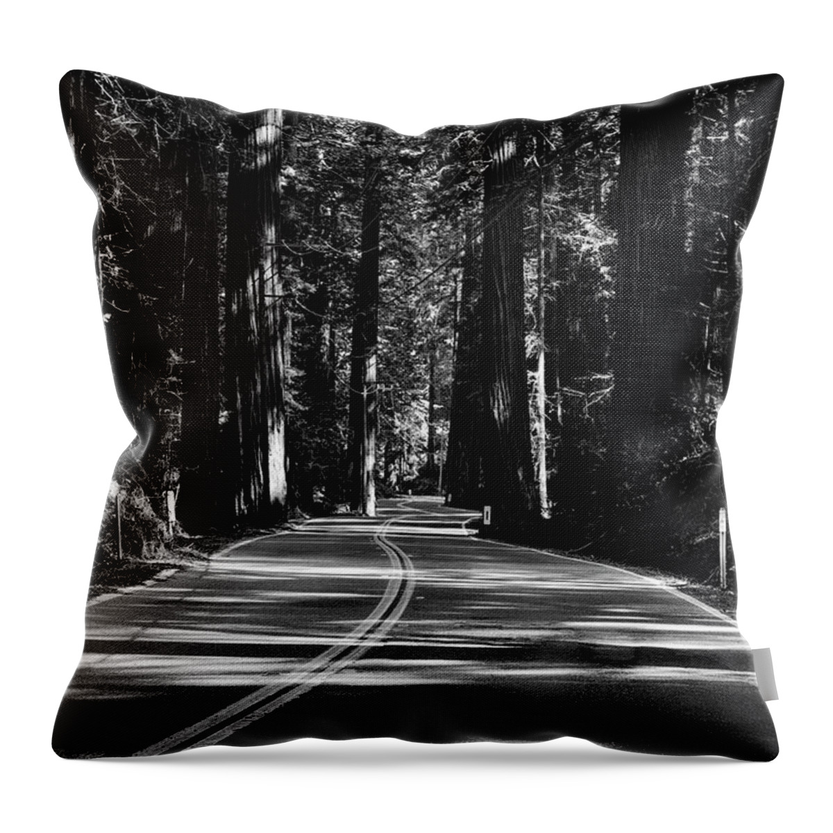 Road Throw Pillow featuring the photograph Avenue of the Giants #2 by Rick Pisio