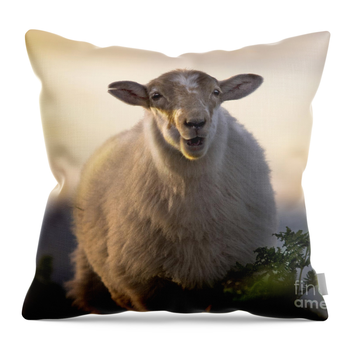 Long Mynd Hill Throw Pillow featuring the photograph Baa Baa #1 by Ang El