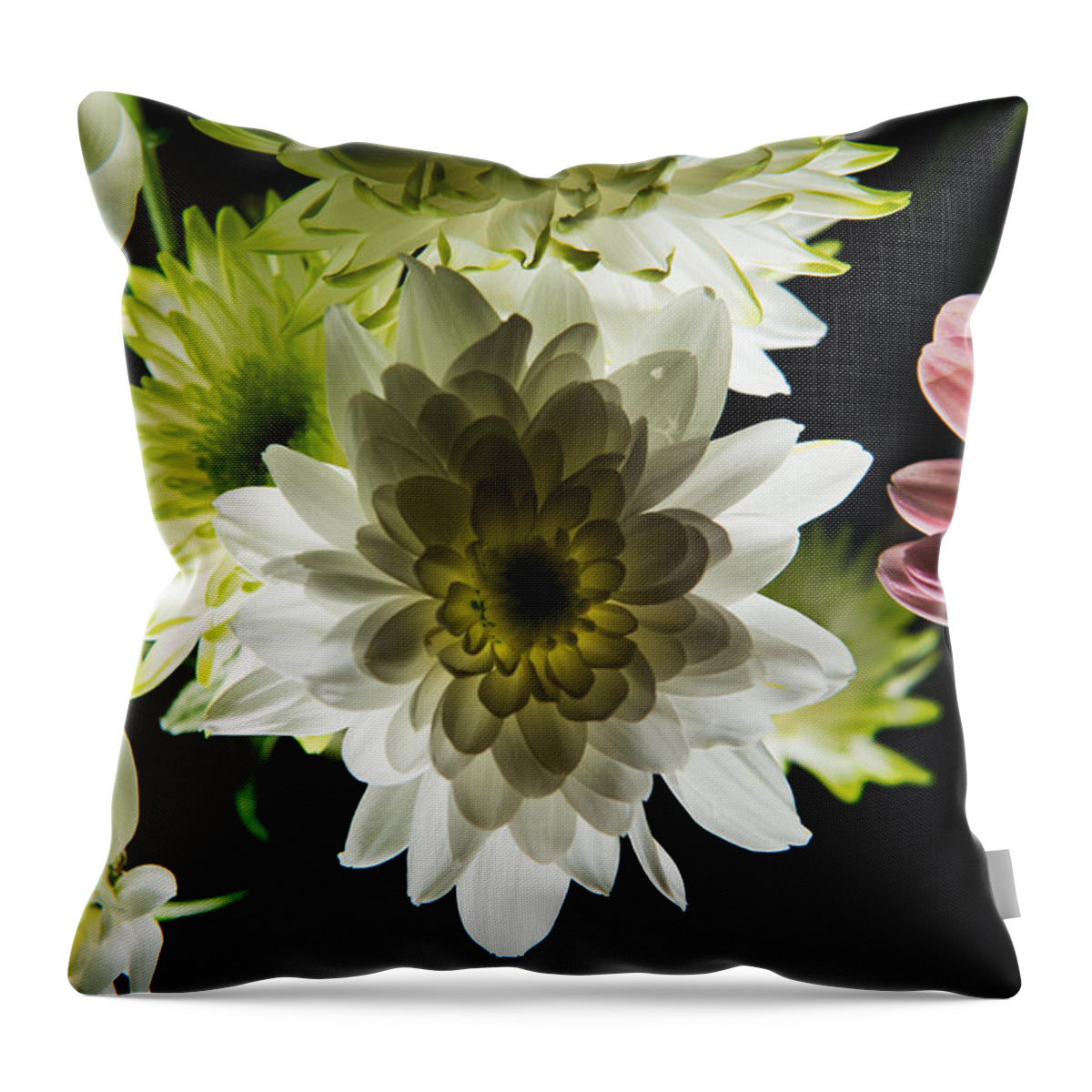 Blooming Throw Pillow featuring the photograph Backlit White Dahlia #2 by Dennis Dame