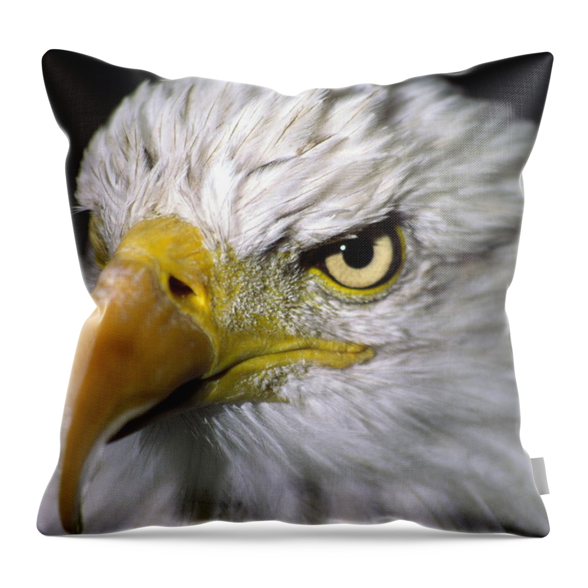 Bird Throw Pillow featuring the photograph Bald Eagle head #1 by Gary Corbett