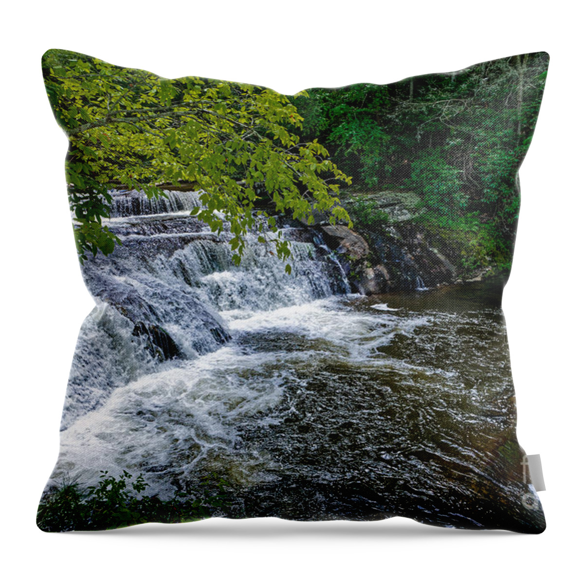 Bald River Throw Pillow featuring the photograph Bald River #1 by Paul Mashburn