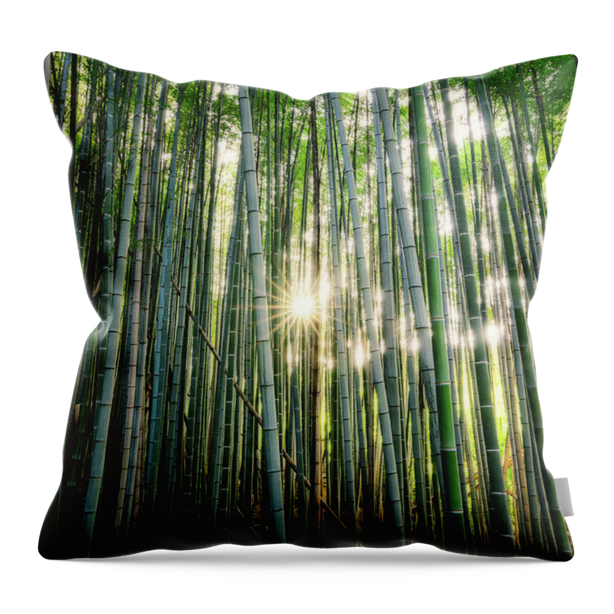 Arashiyama Throw Pillow featuring the photograph Bamboo forest at Arashiyama #1 by Craig Szymanski