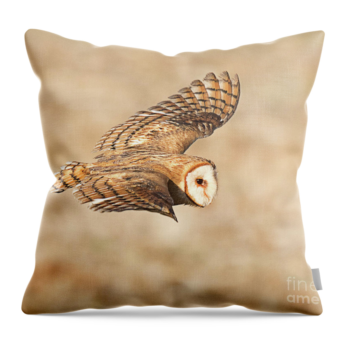 Bird Throw Pillow featuring the photograph Barn Owl on the Wing #1 by Dennis Hammer
