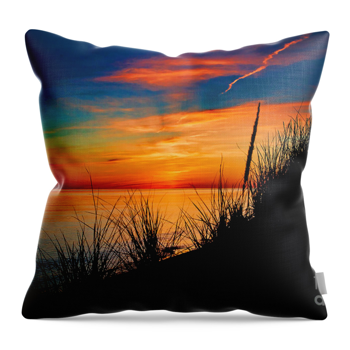Ludington State Park Throw Pillow featuring the photograph Grassn and Sky by Randall Cogle
