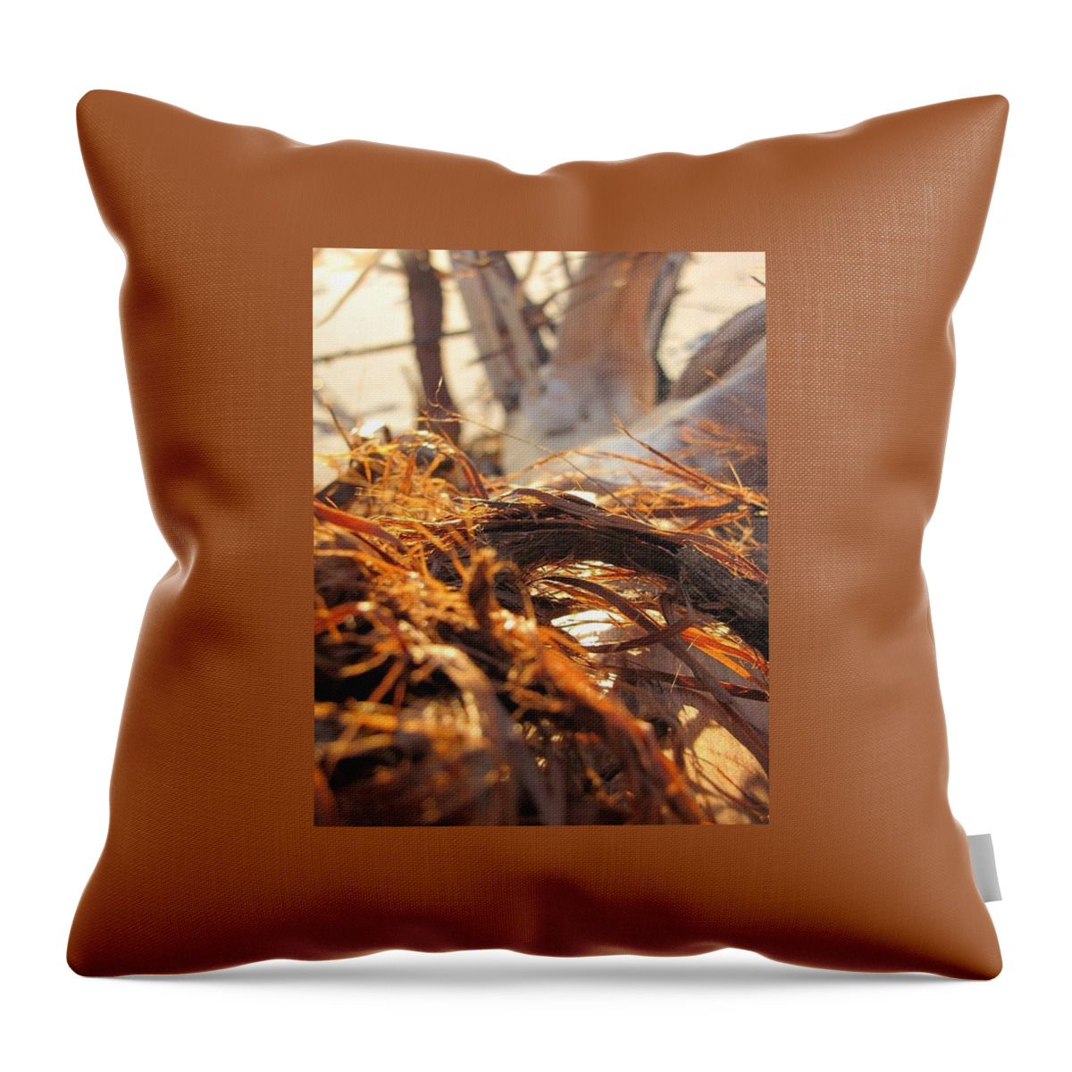 Sun Throw Pillow featuring the photograph Beach Wood #1 by Laura Henry