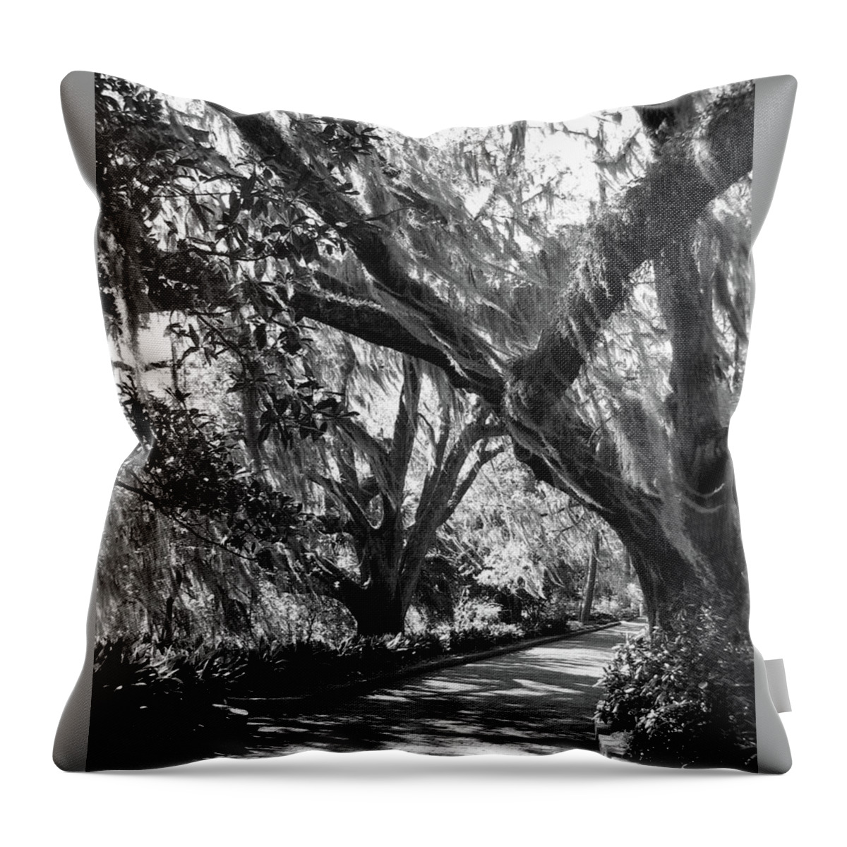 Maclay Gardens Throw Pillow featuring the photograph Bearded Oaks at Maclay Gardens by Carla Parris