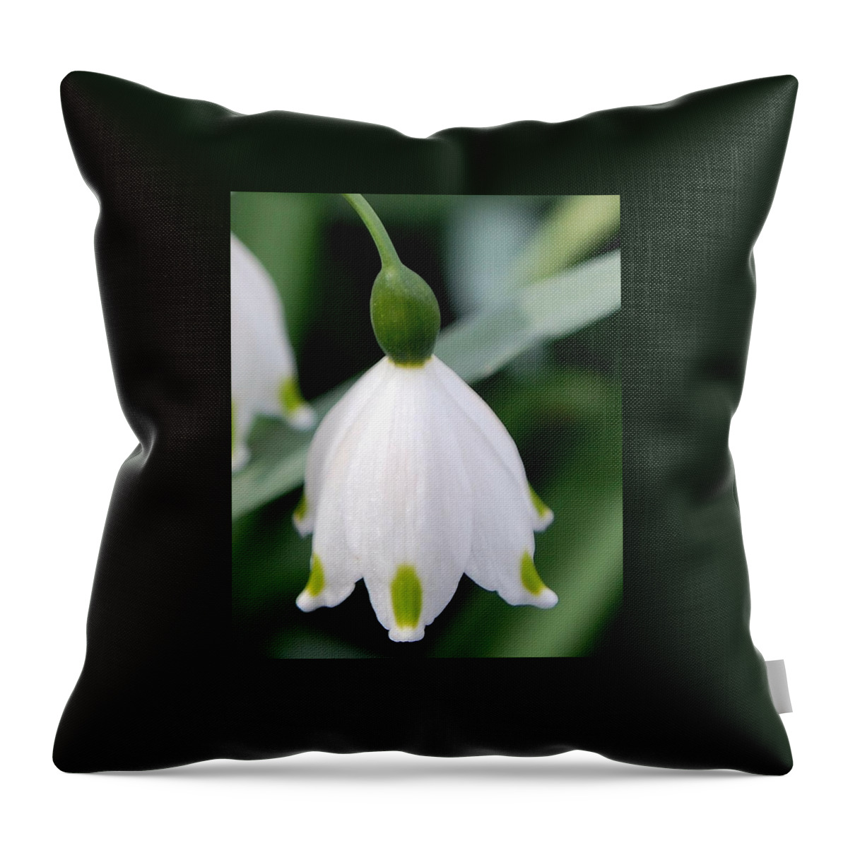 Bell Flower Throw Pillow featuring the photograph Bell Flower #1 by Amy Fose