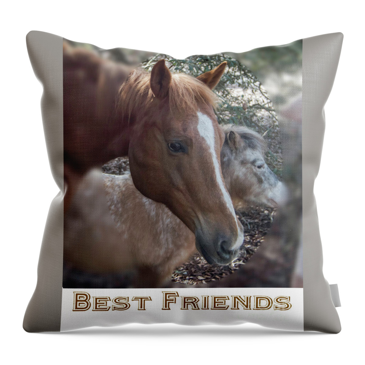 Friends Throw Pillow featuring the photograph Best Friends #1 by Judy Hall-Folde