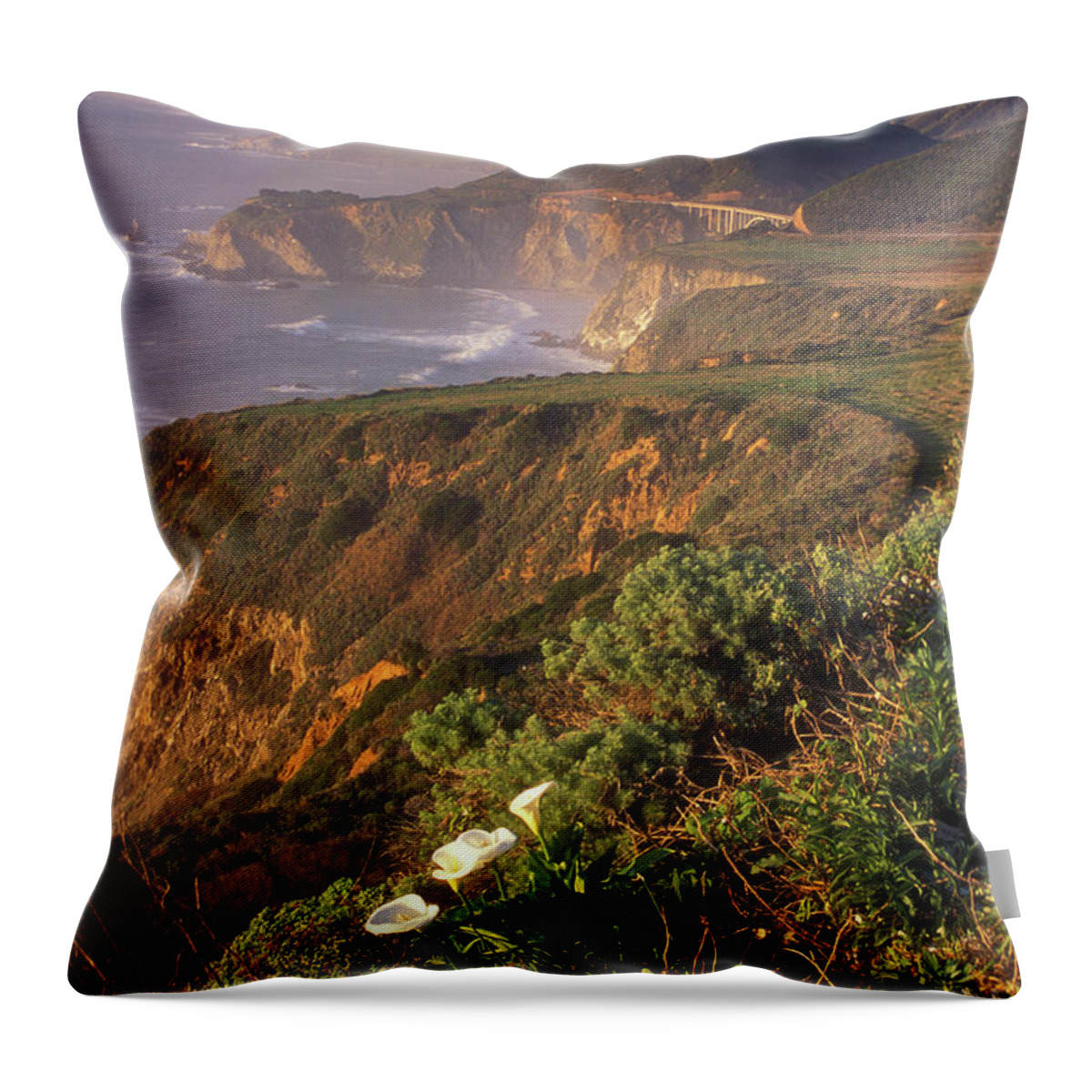 California Throw Pillow featuring the photograph Big Sur Coast Wild Calla #1 by John Burk