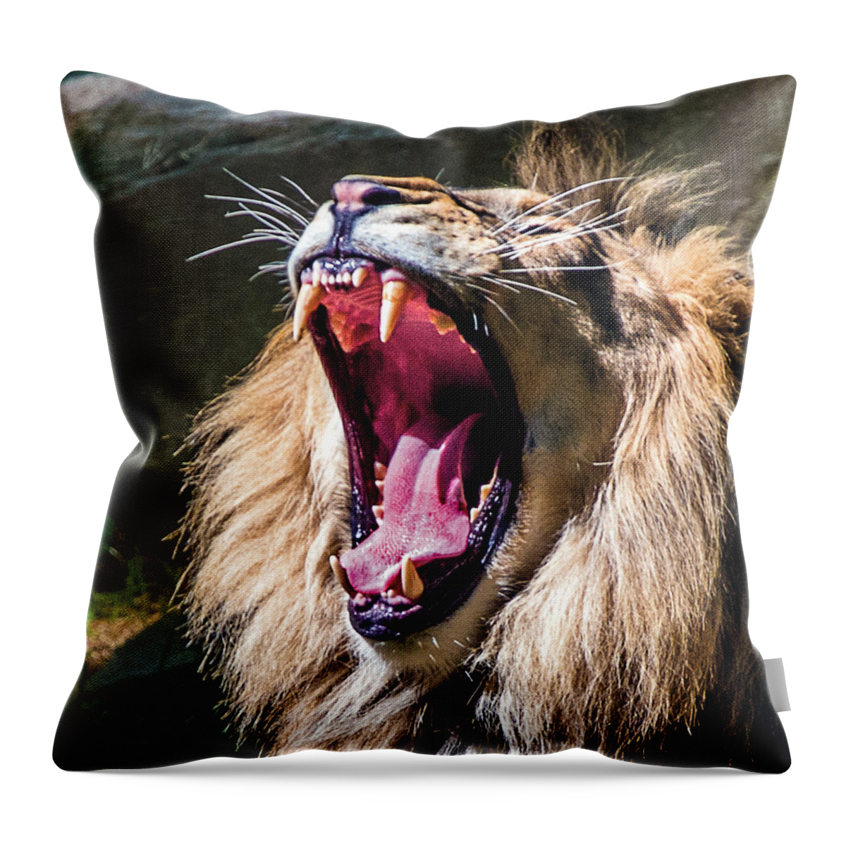 Lion Throw Pillow featuring the photograph Big Yawn #1 by William Bitman