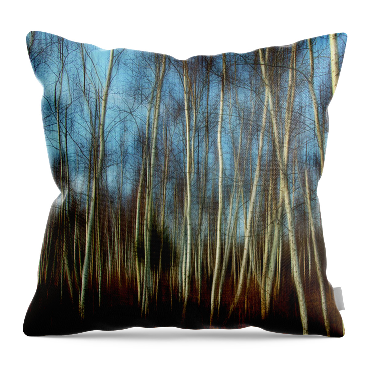 Forest Throw Pillow featuring the photograph Birches #1 by Cathy Kovarik