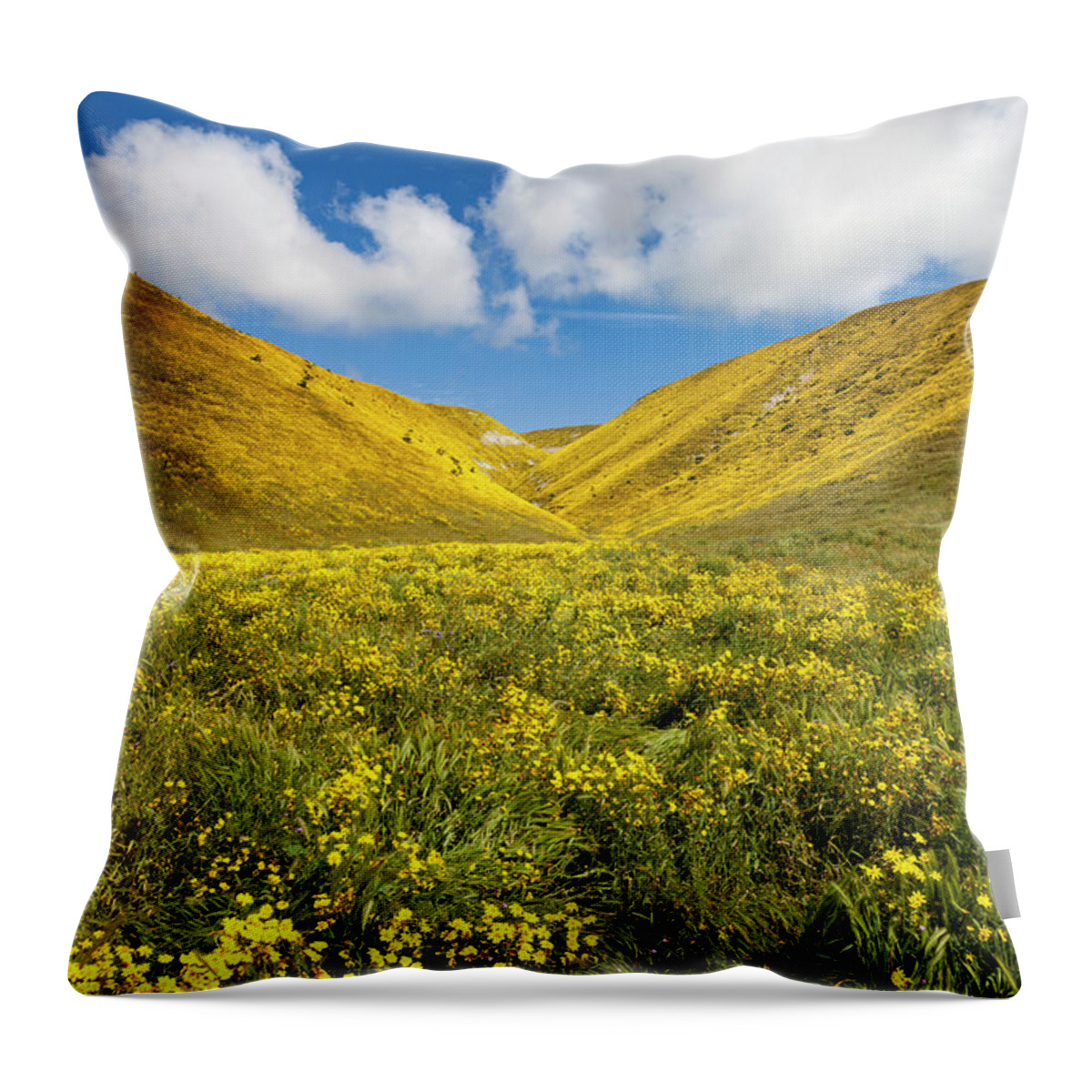 Kern County Throw Pillow featuring the photograph Bitterwater Valley Road Wildflowers #1 by Rick Pisio