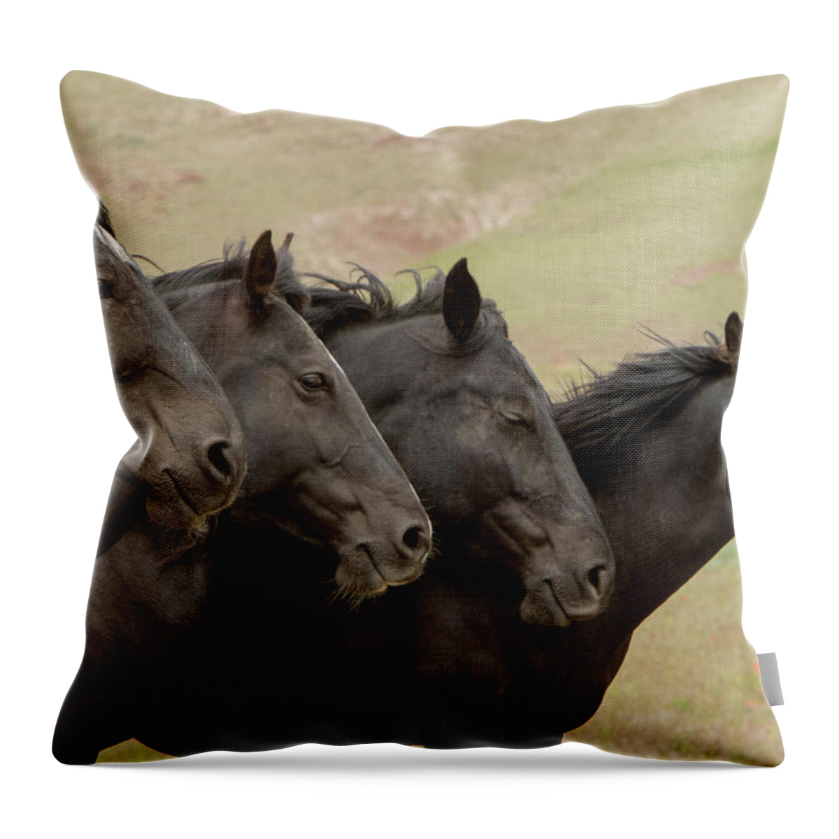 Horse Throw Pillow featuring the photograph Black Beauties #1 by Kent Keller