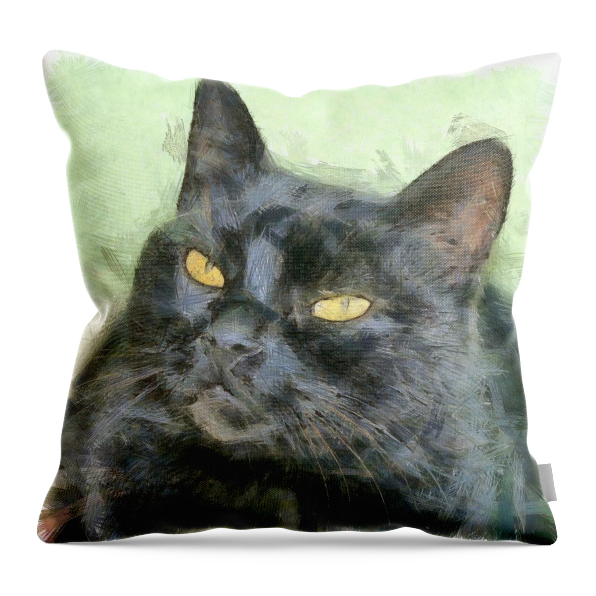 Cat Throw Pillow featuring the drawing Black Cat #1 by Taiche Acrylic Art