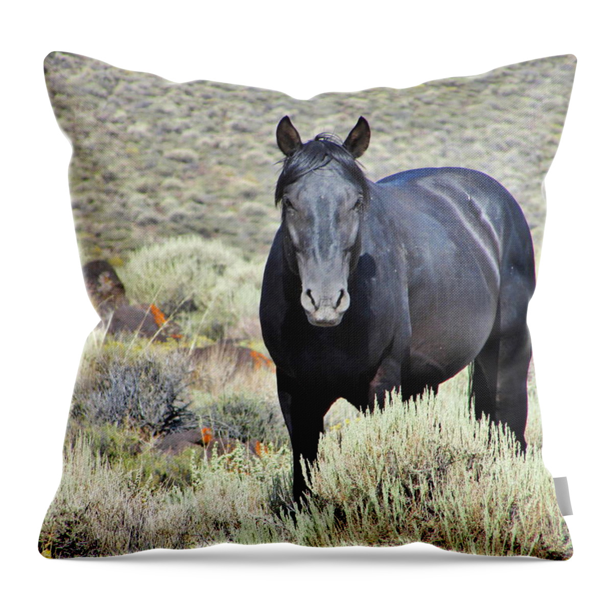 Horse Throw Pillow featuring the photograph Black Mustang #1 by Marilyn Diaz
