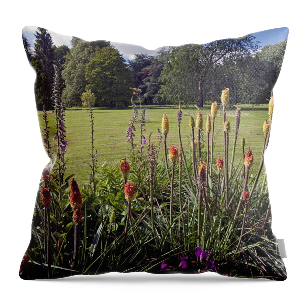 Blarney Castle Throw Pillow featuring the photograph Blarney Castle grounds #1 by Cindy Murphy - NightVisions 