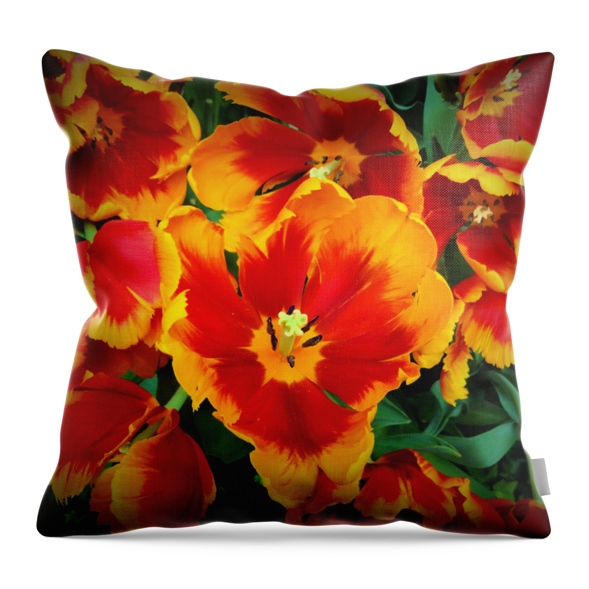 Flower Throw Pillow featuring the photograph Bloom #1 by Donna Spadola