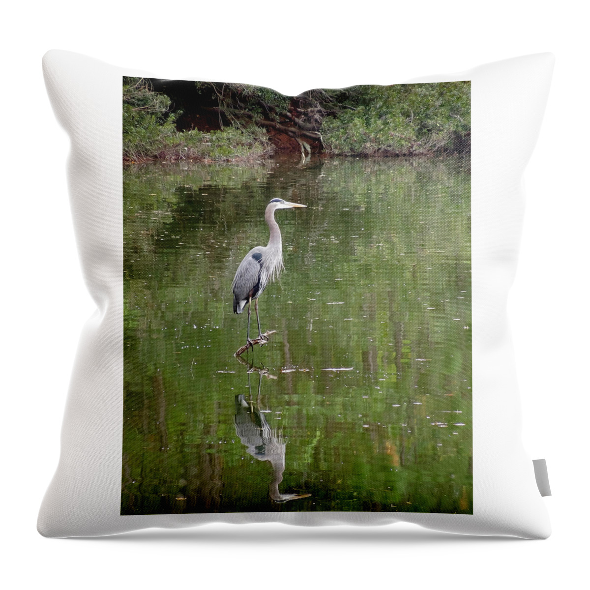 Blue Heron Throw Pillow featuring the digital art Blue Heron II  #1 by Don Wright