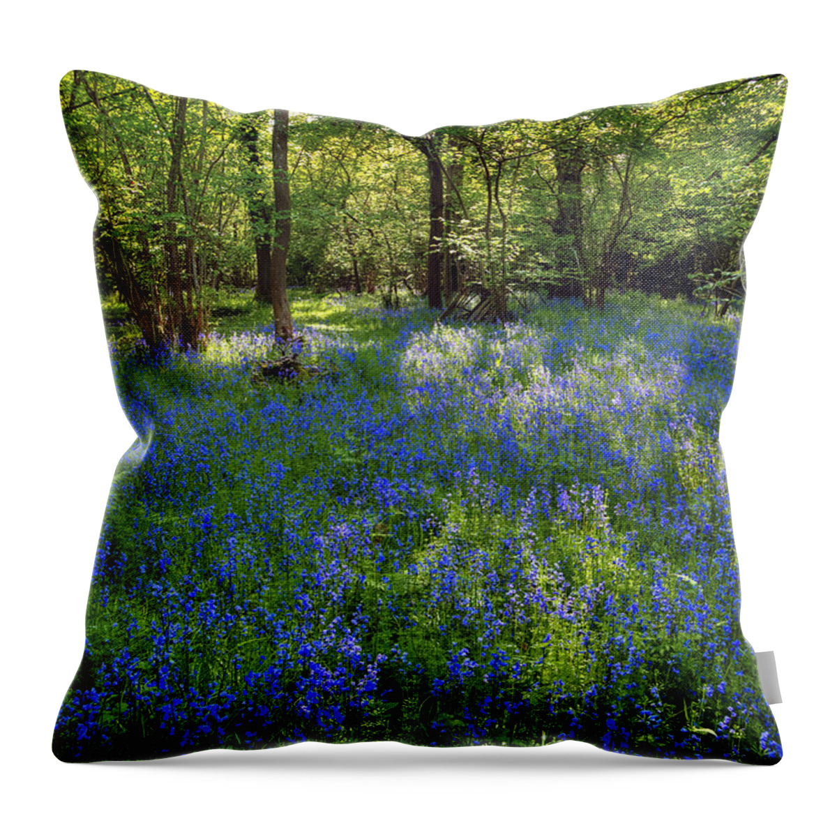 Bluebells Throw Pillow featuring the photograph Bluebells in the New Forest #1 by Joana Kruse