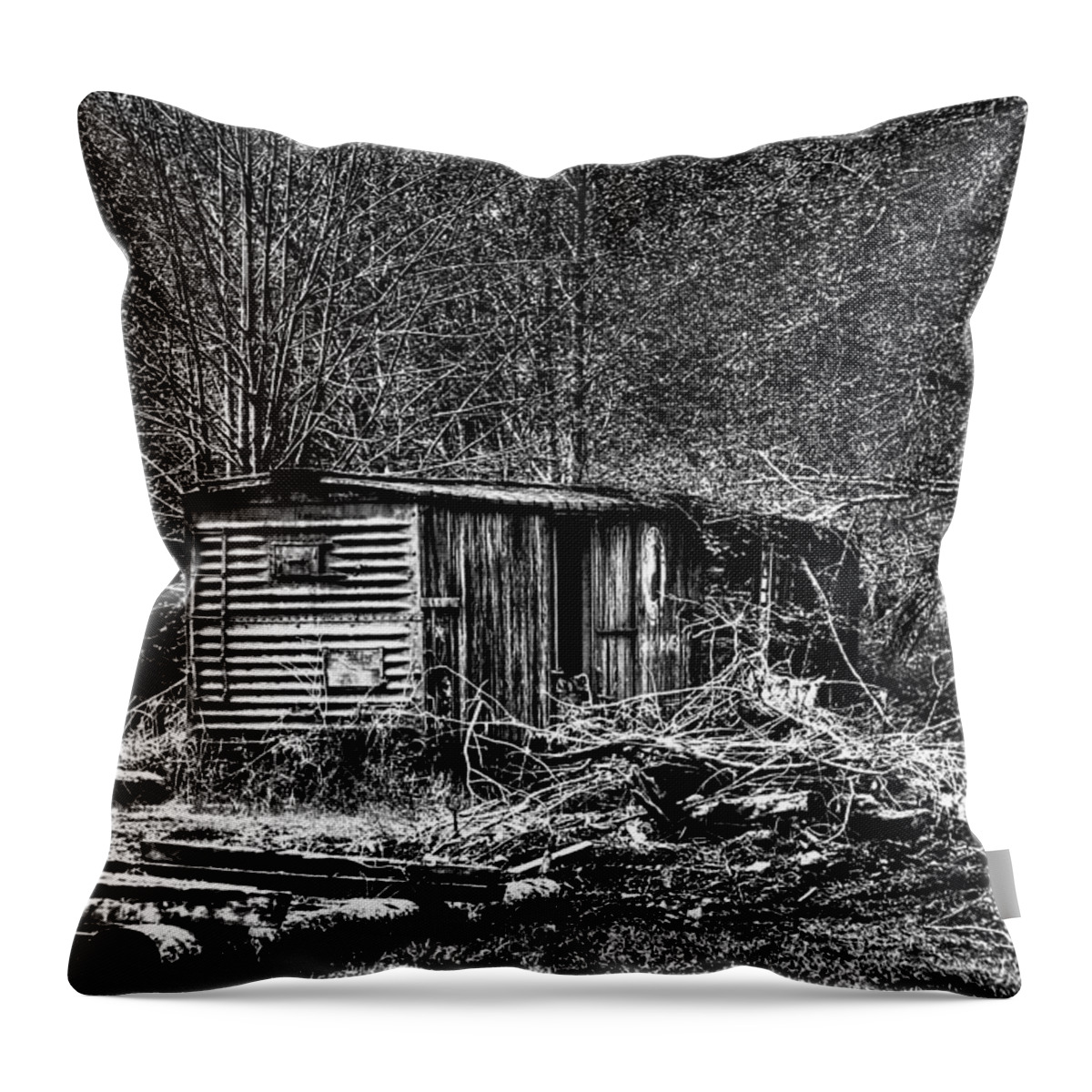 Camp 18 Throw Pillow featuring the photograph Box Car #1 by David Patterson