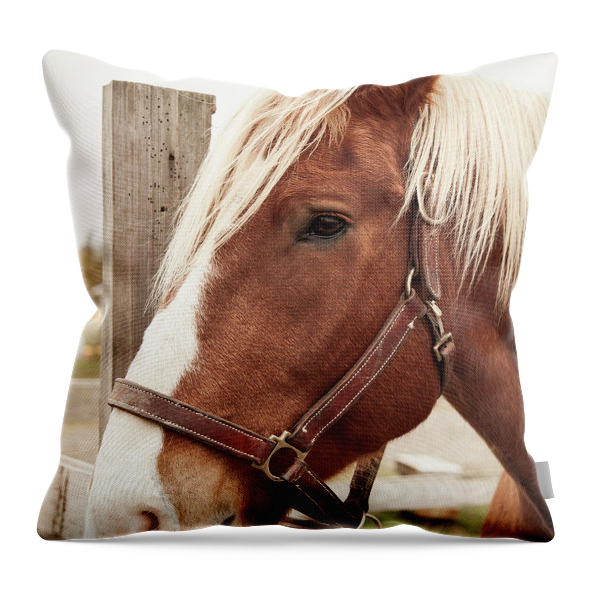 Brown Horse Throw Pillow featuring the photograph Brown Horse #1 by Lucid Mood