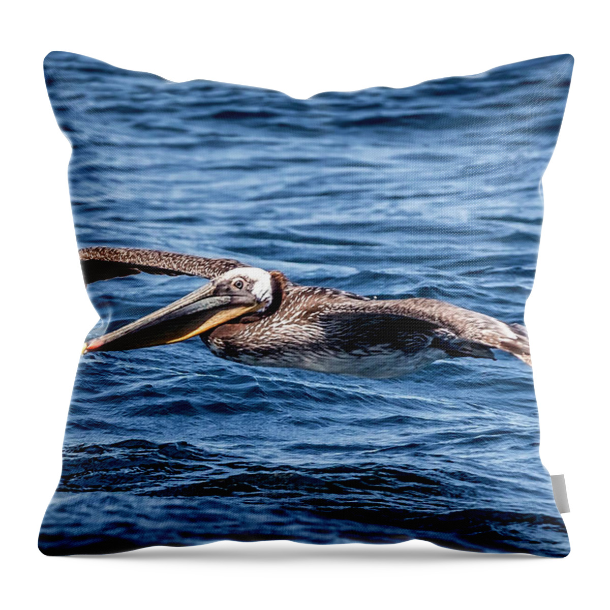 Brown Pelican Throw Pillow featuring the photograph Brown Pelican 4 #1 by Endre Balogh