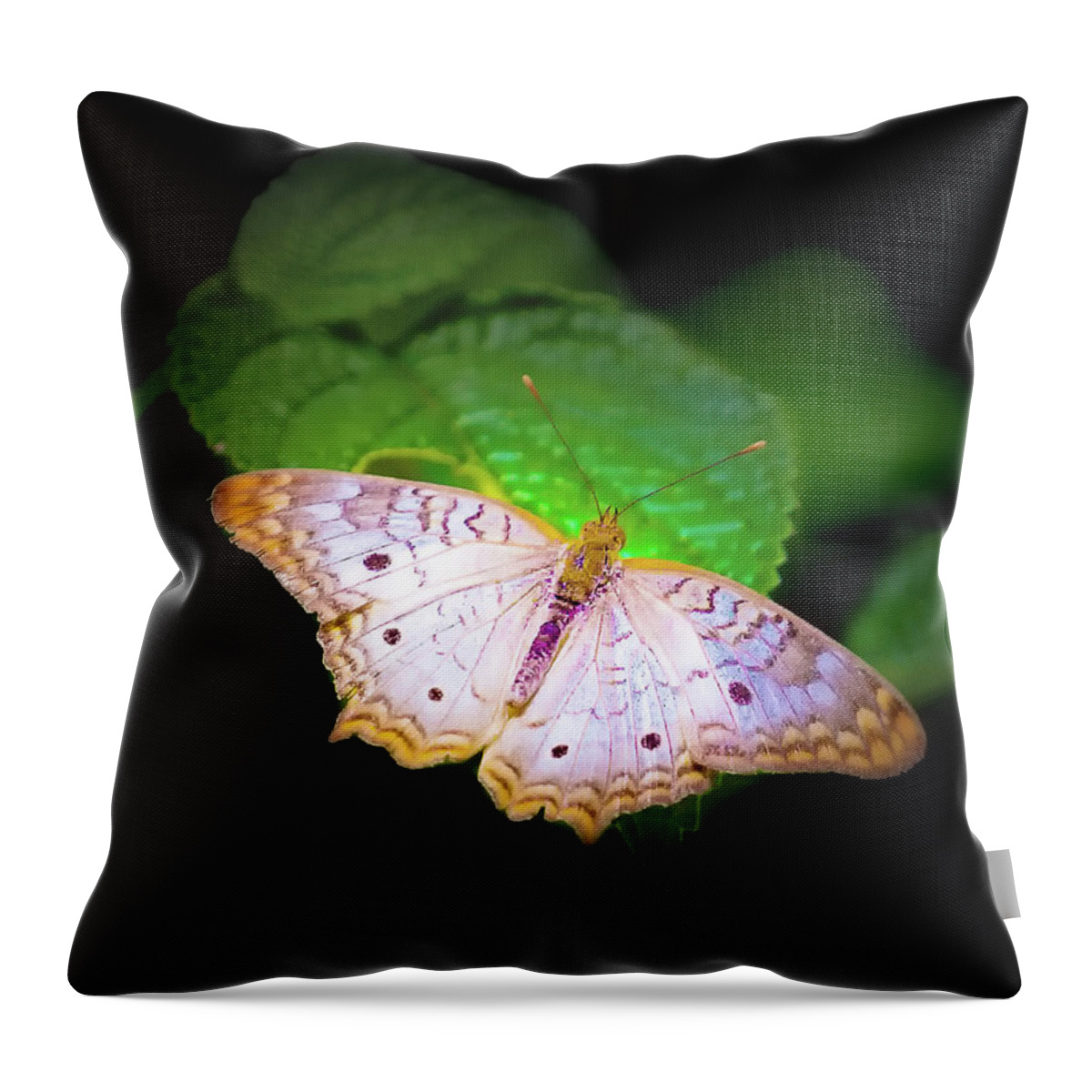 Fine Art Throw Pillow featuring the photograph White Peacock Butterfly Wonderland A Series by Darby Donaho