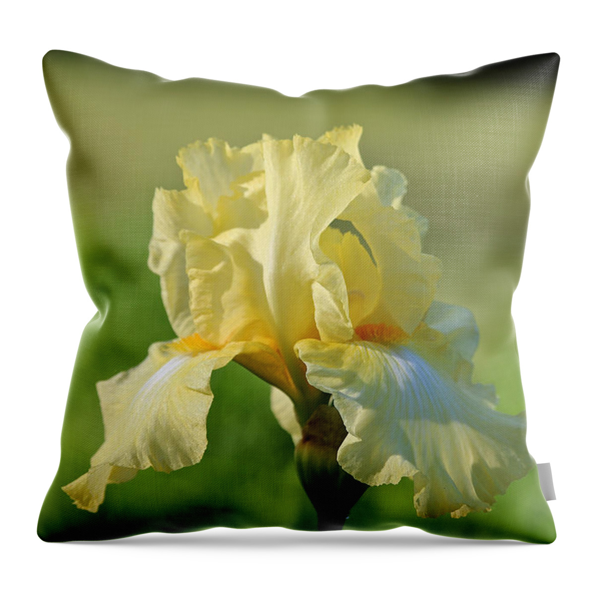 Flower Throw Pillow featuring the photograph Buttery Soft #1 by Susan Herber