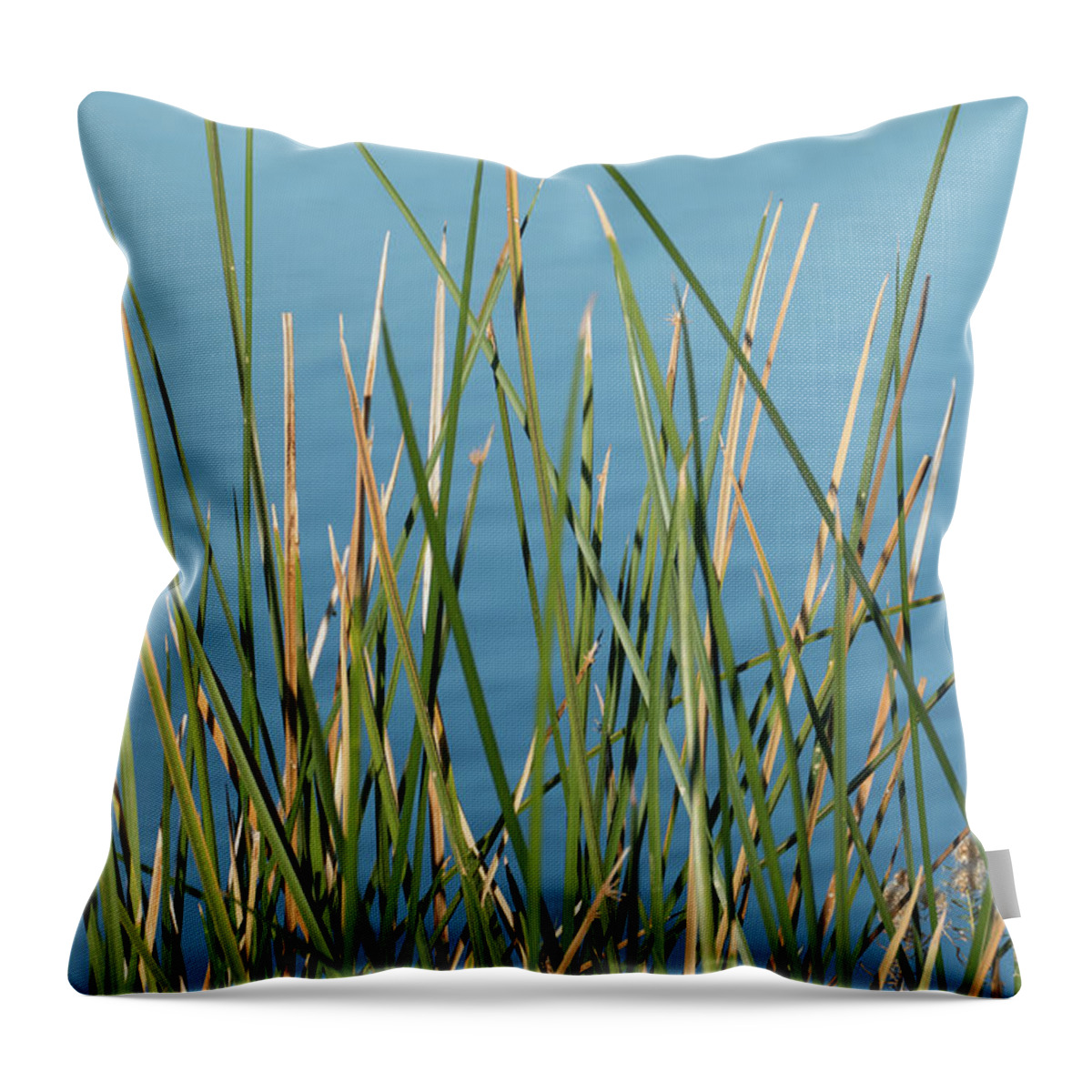 Water Throw Pillow featuring the photograph By the Water #1 by Laurel Powell