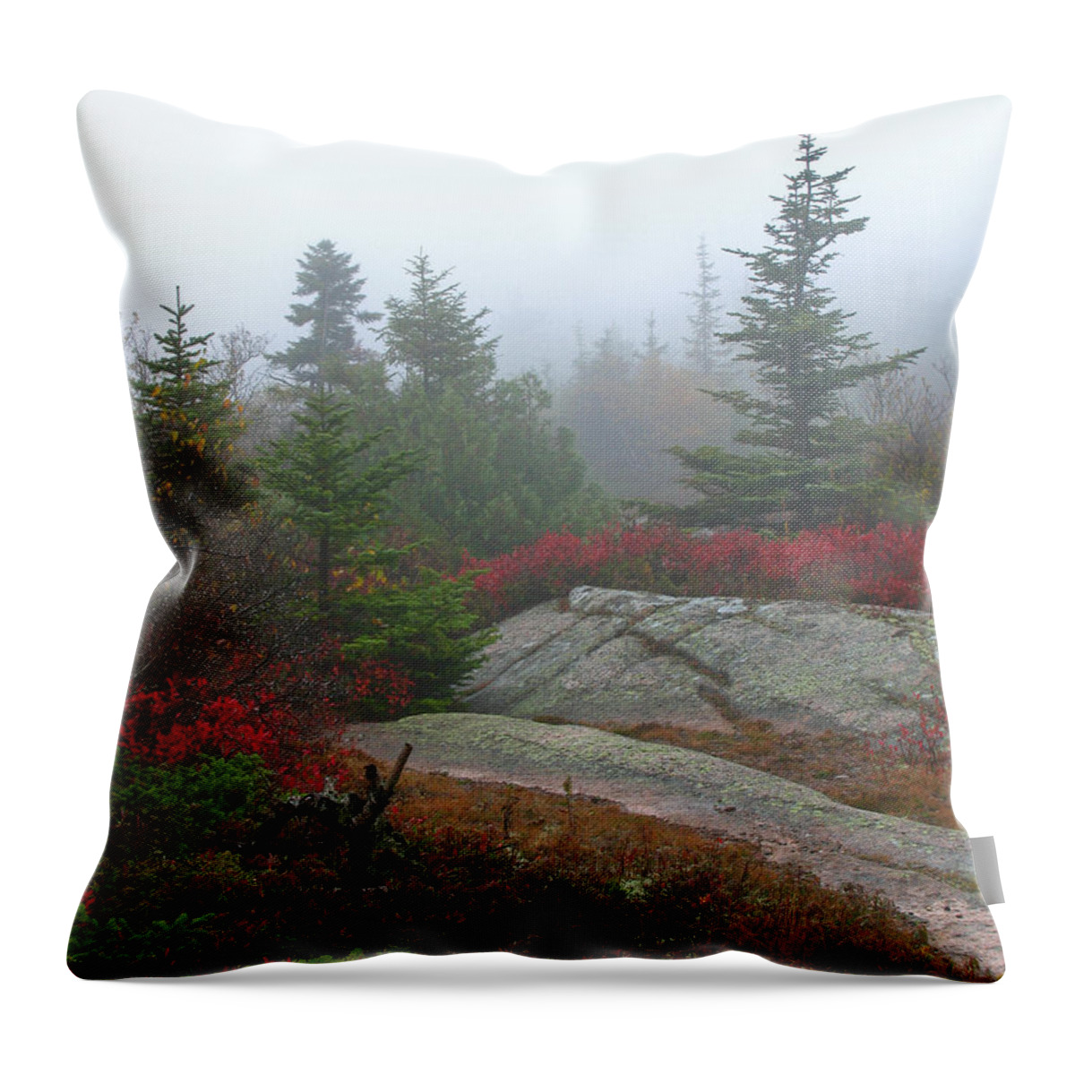 Acadia Np Throw Pillow featuring the photograph Cadillac Mountain #1 by Juergen Roth