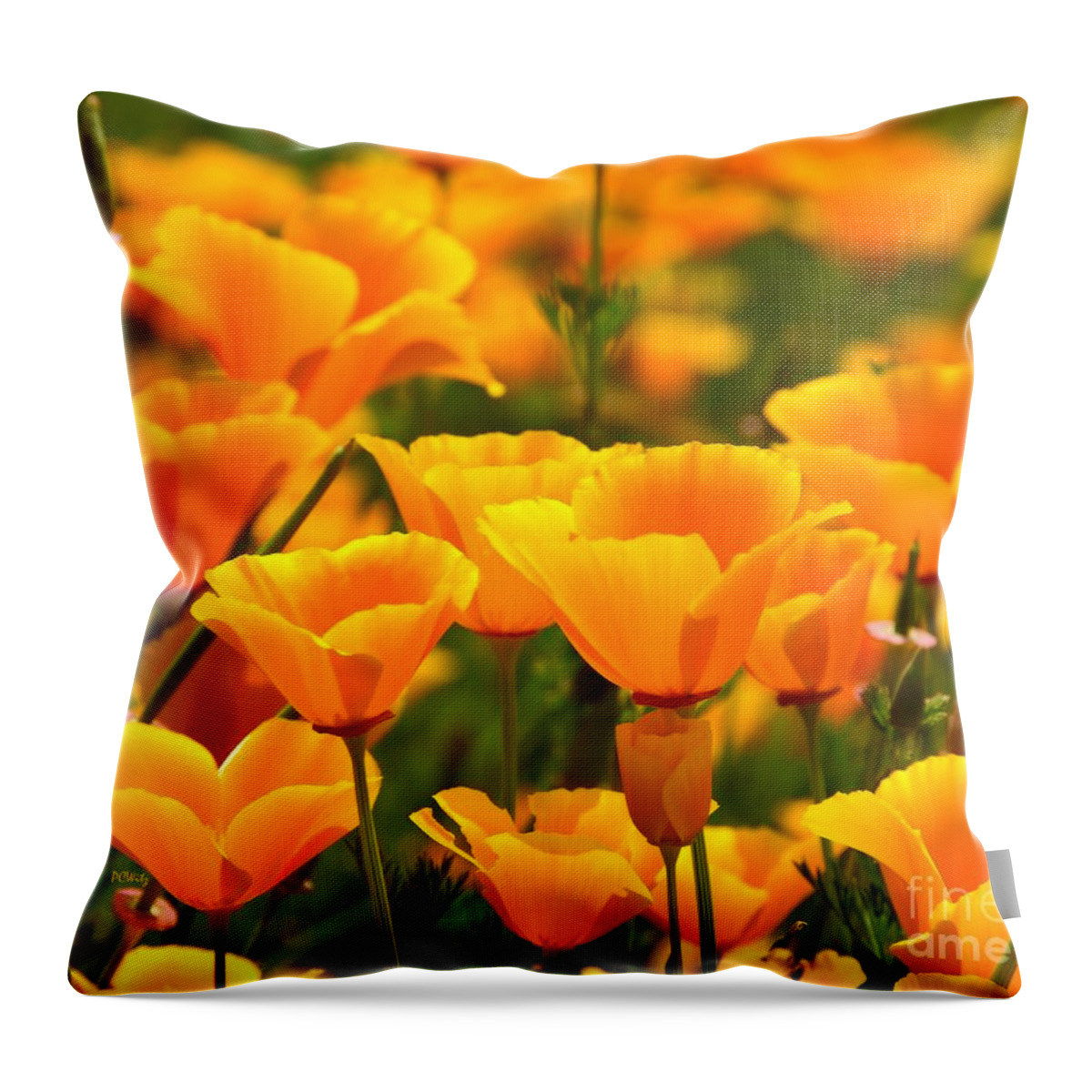 California Poppies Throw Pillow featuring the photograph California Poppies #1 by Patrick Witz