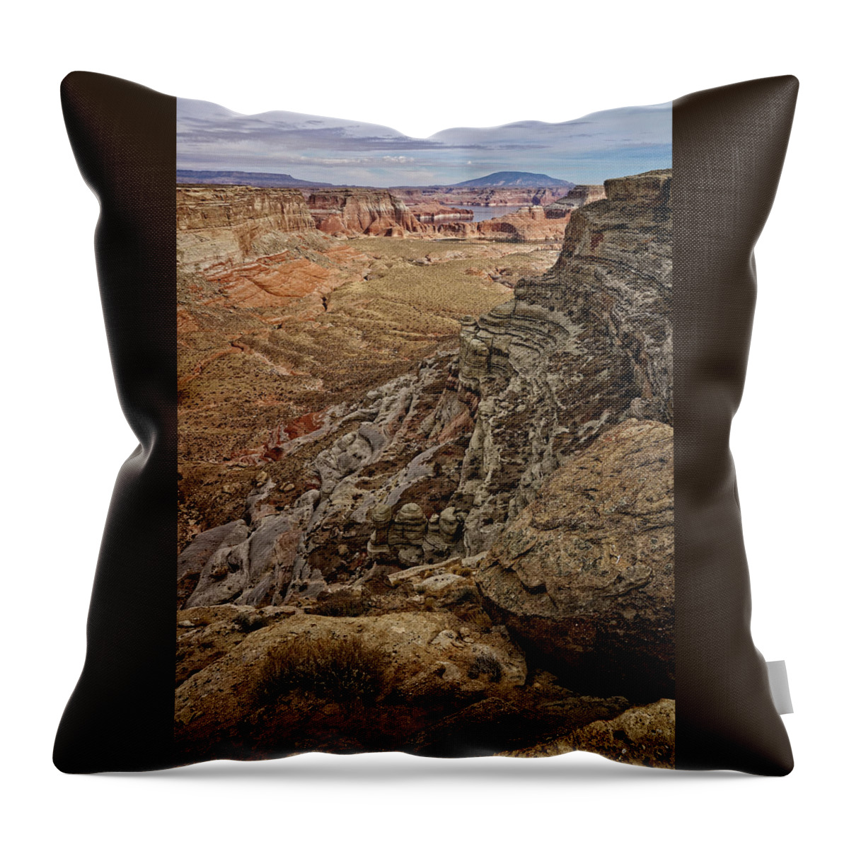 Alstrom Point Throw Pillow featuring the photograph Canyon Vista #1 by Leda Robertson