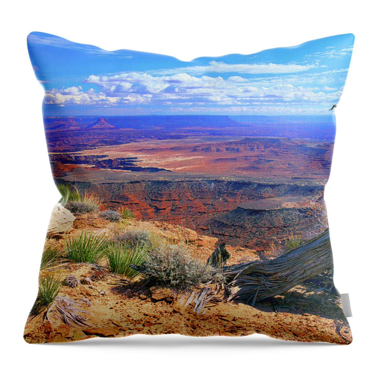 Utah Throw Pillow featuring the photograph Canyonlands #1 by Frank Houck