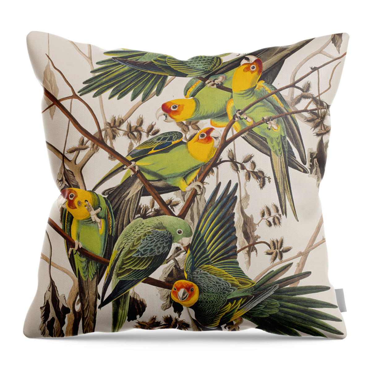 Parakeet Throw Pillow featuring the painting Carolina Parrot by John James Audubon