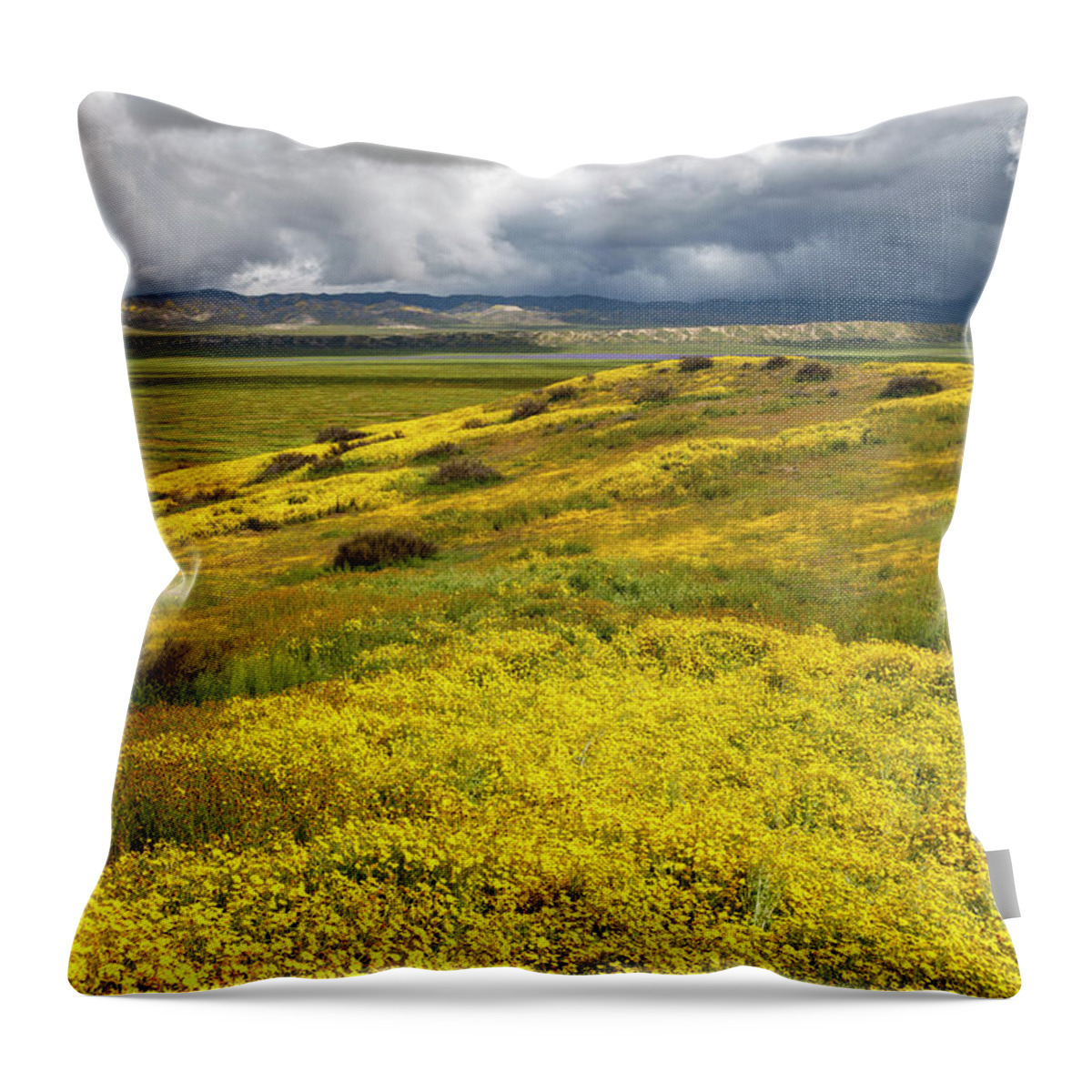 Carrizo Throw Pillow featuring the photograph Carrizo Wildflower Bloom #1 by Rick Pisio