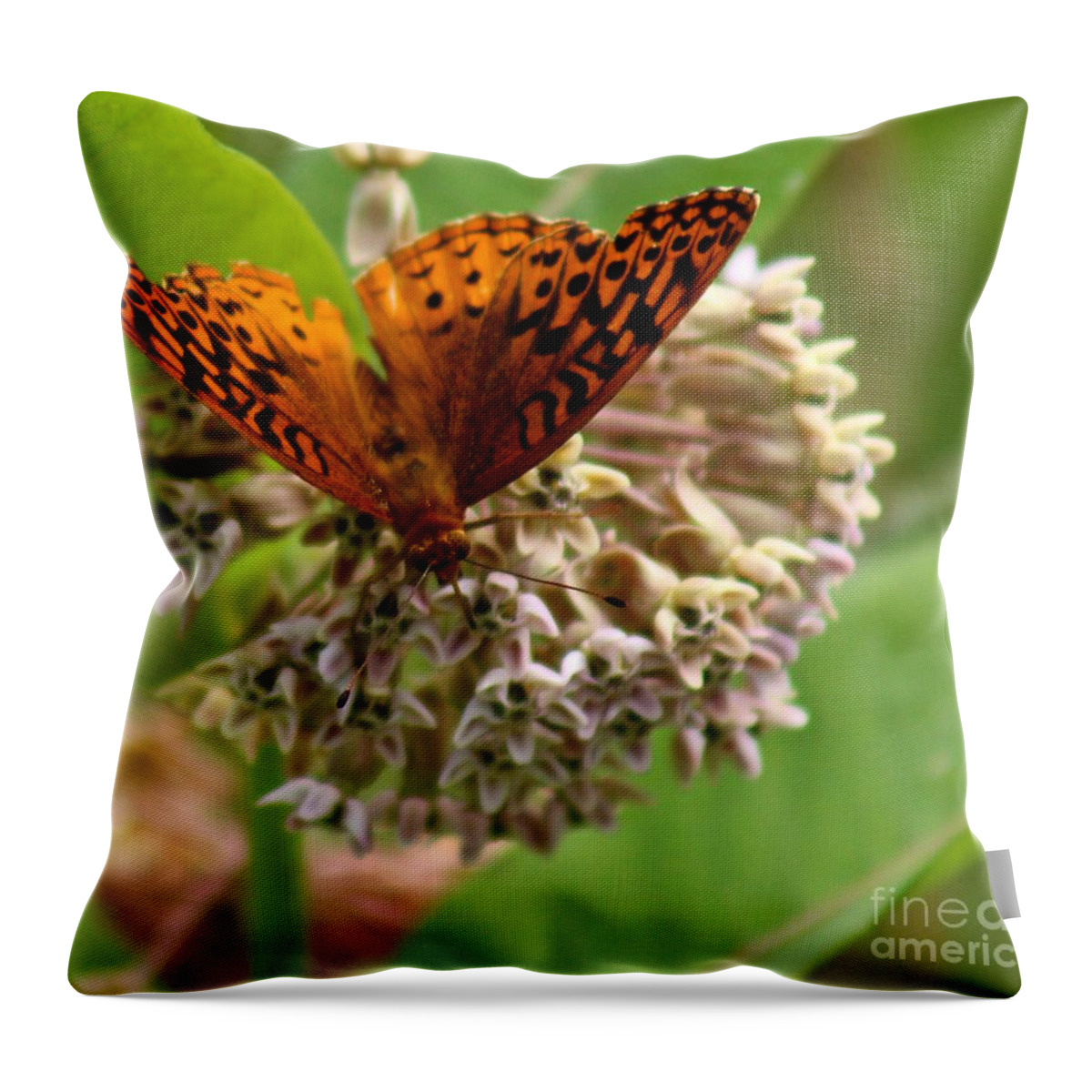 Butterfly Throw Pillow featuring the photograph Catching a drink #1 by Deena Withycombe