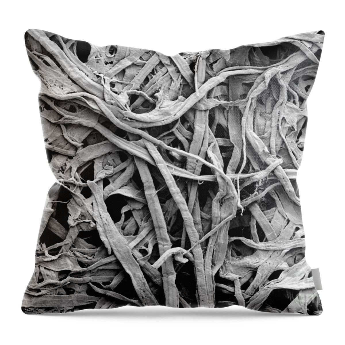 Cellulose Throw Pillow featuring the photograph Cellulose Fibers In A Paper Towel #1 by Scimat