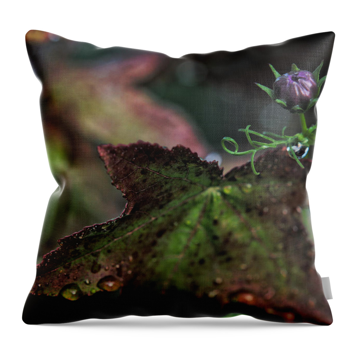 Flower Bud Throw Pillow featuring the photograph Change of Seasons #1 by Bonnie Bruno