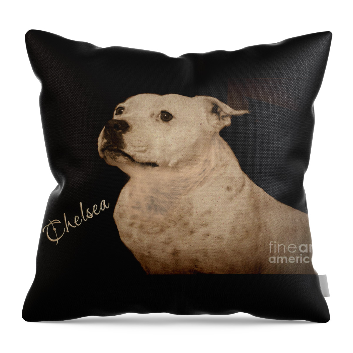 Staffie Throw Pillow featuring the photograph Chelsea #2 by Elaine Teague