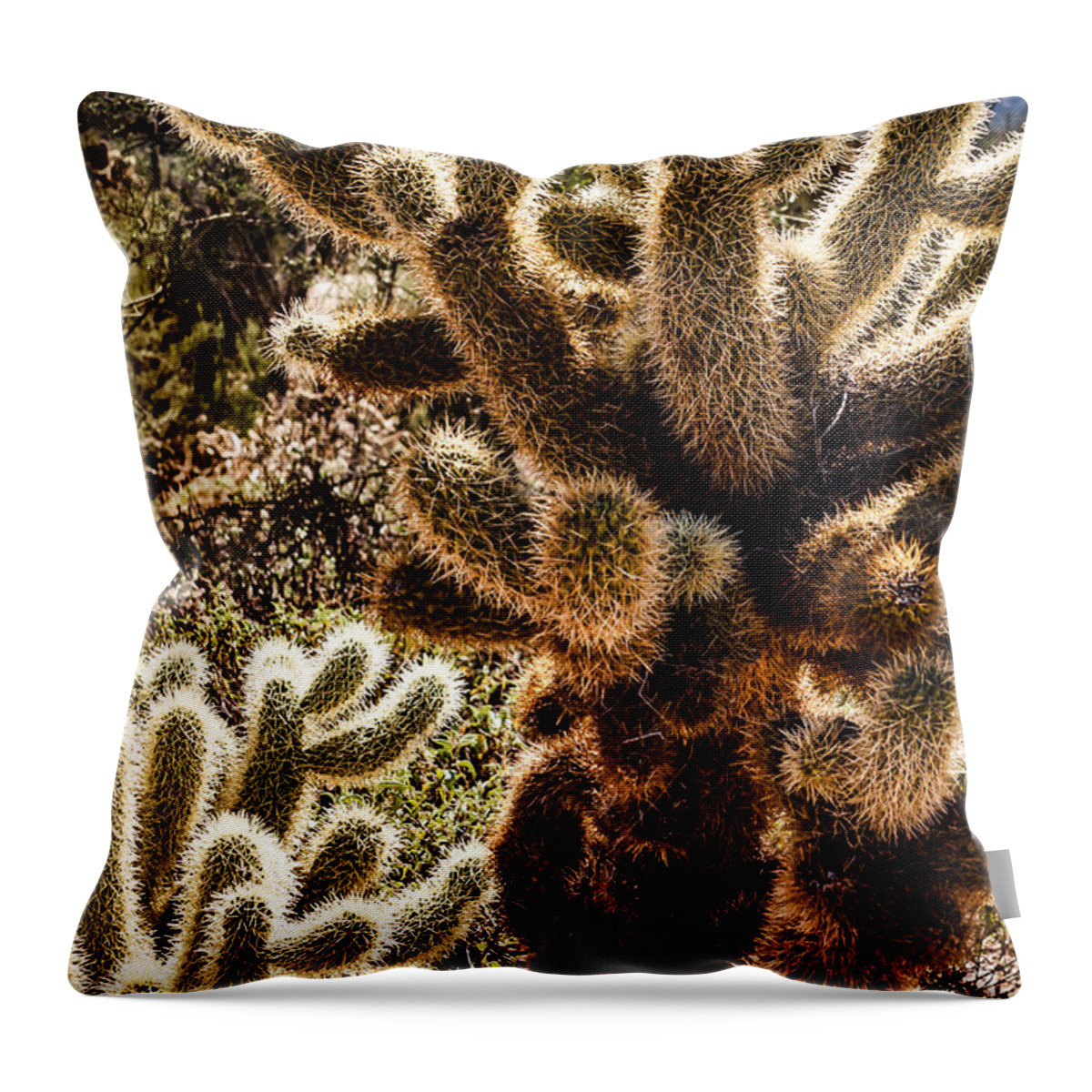 Arizona Throw Pillow featuring the photograph Cholla Cacti #1 by Lawrence Burry