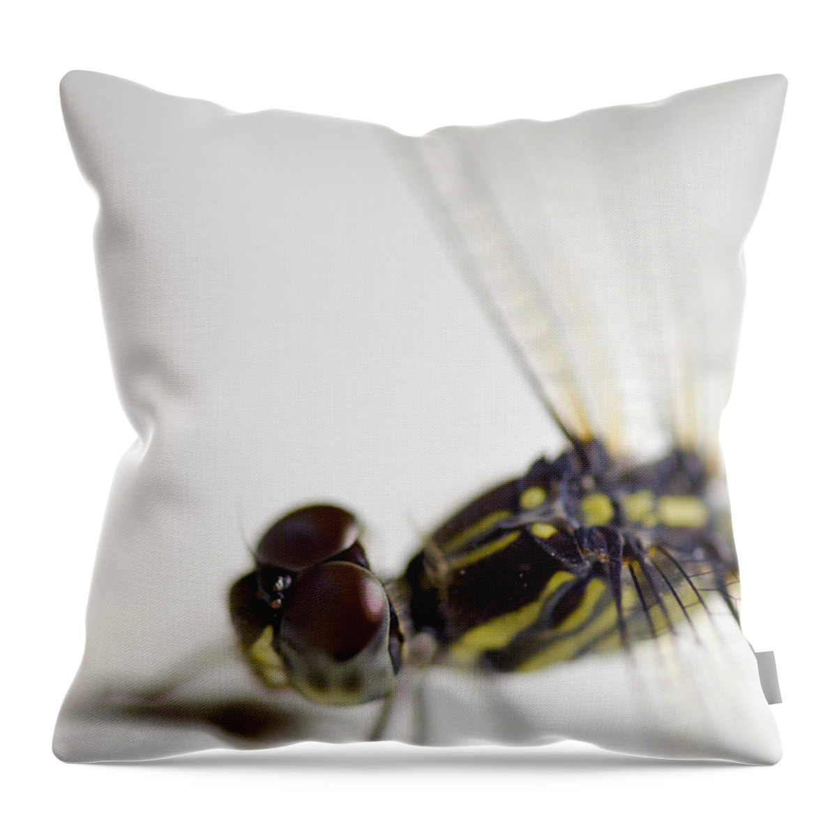 Lightweight Throw Pillow featuring the photograph Close up shoot of a anisoptera dragonfly #1 by U Schade